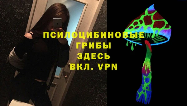 MESCALINE Белокуриха