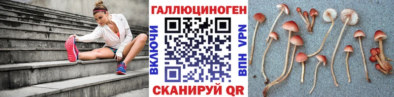 Галлюциногенные грибы Cubensis  Купить закладки  Ак-Довурак 
