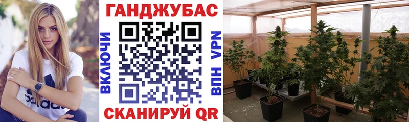 Купить  Ак-Довурак  Канабис THC 21% 